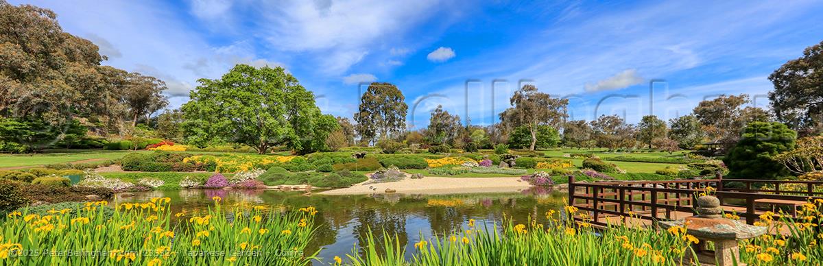 Peter Bellingham Photography Japanese Garden - Cowra
